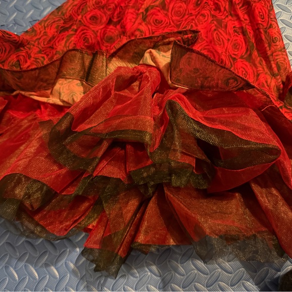 Red Rose Dance Costume Dress - Picture 3 of 5